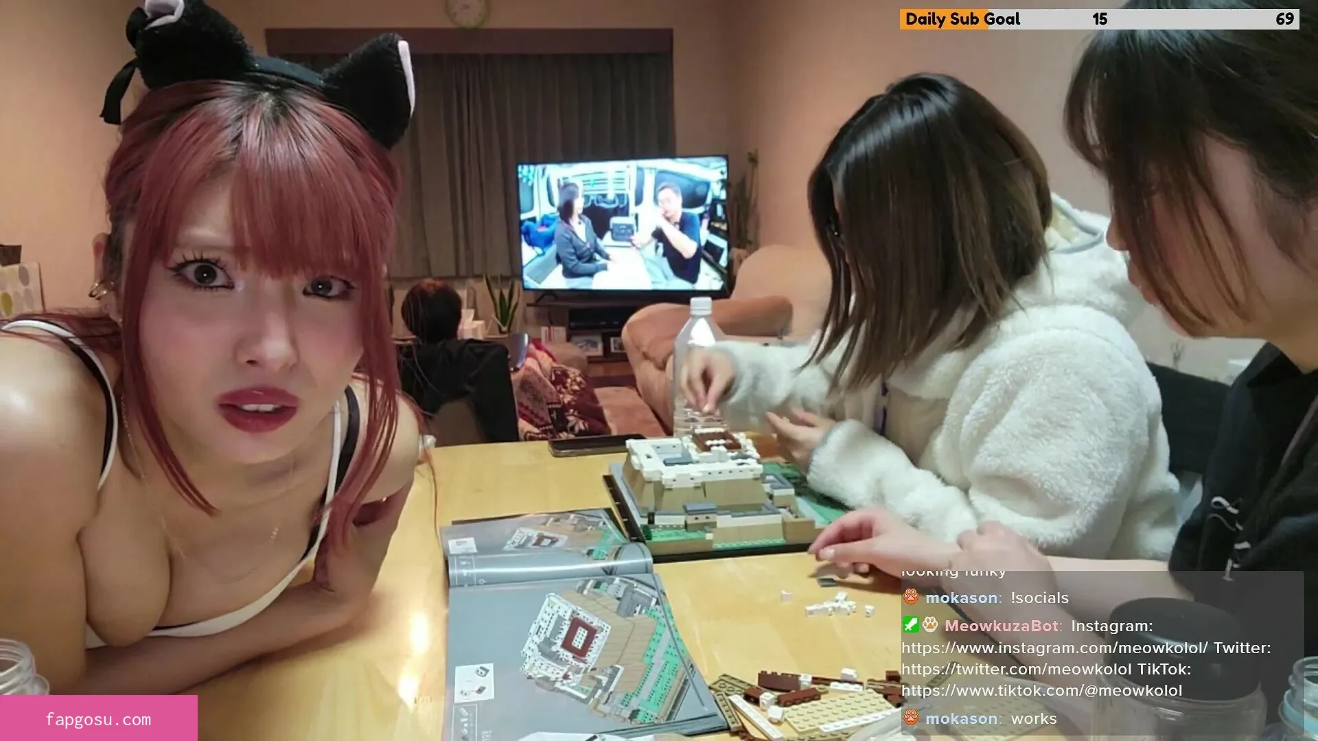 Meowko - Photo #3263