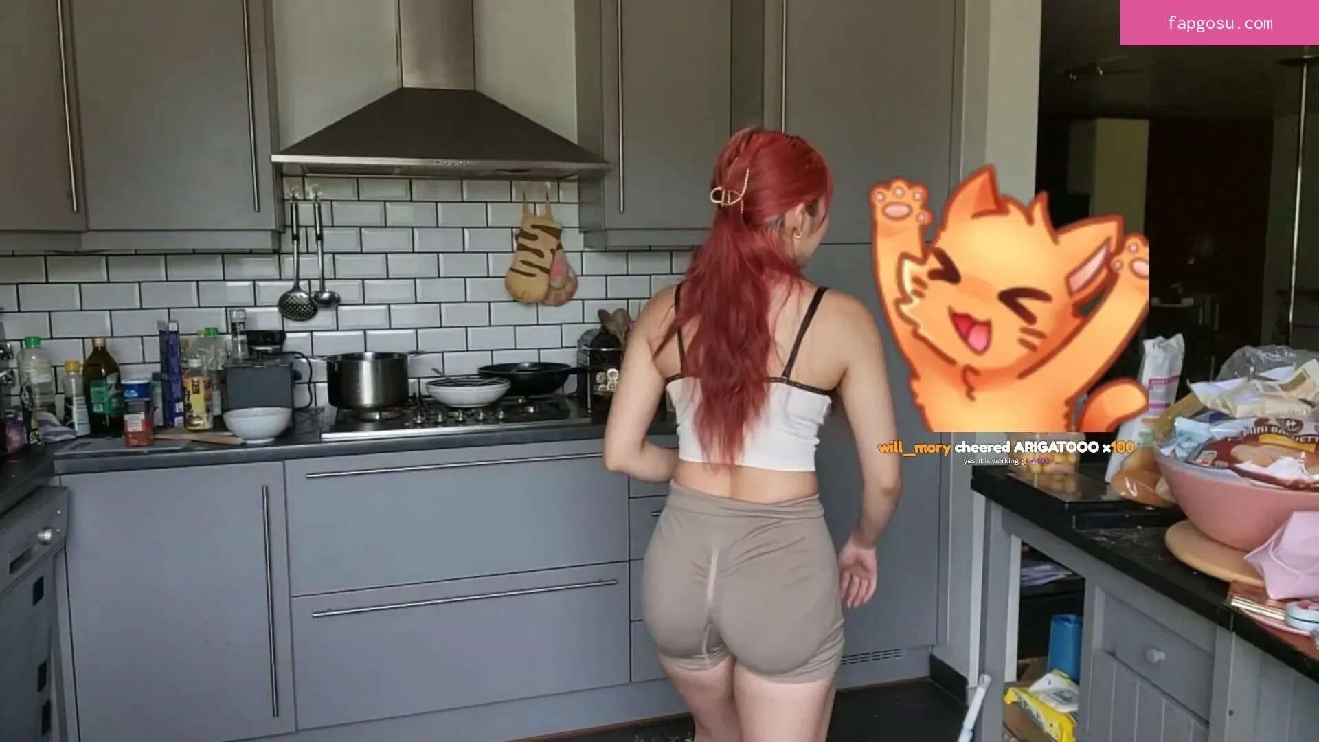 Meowko - Photo #3539