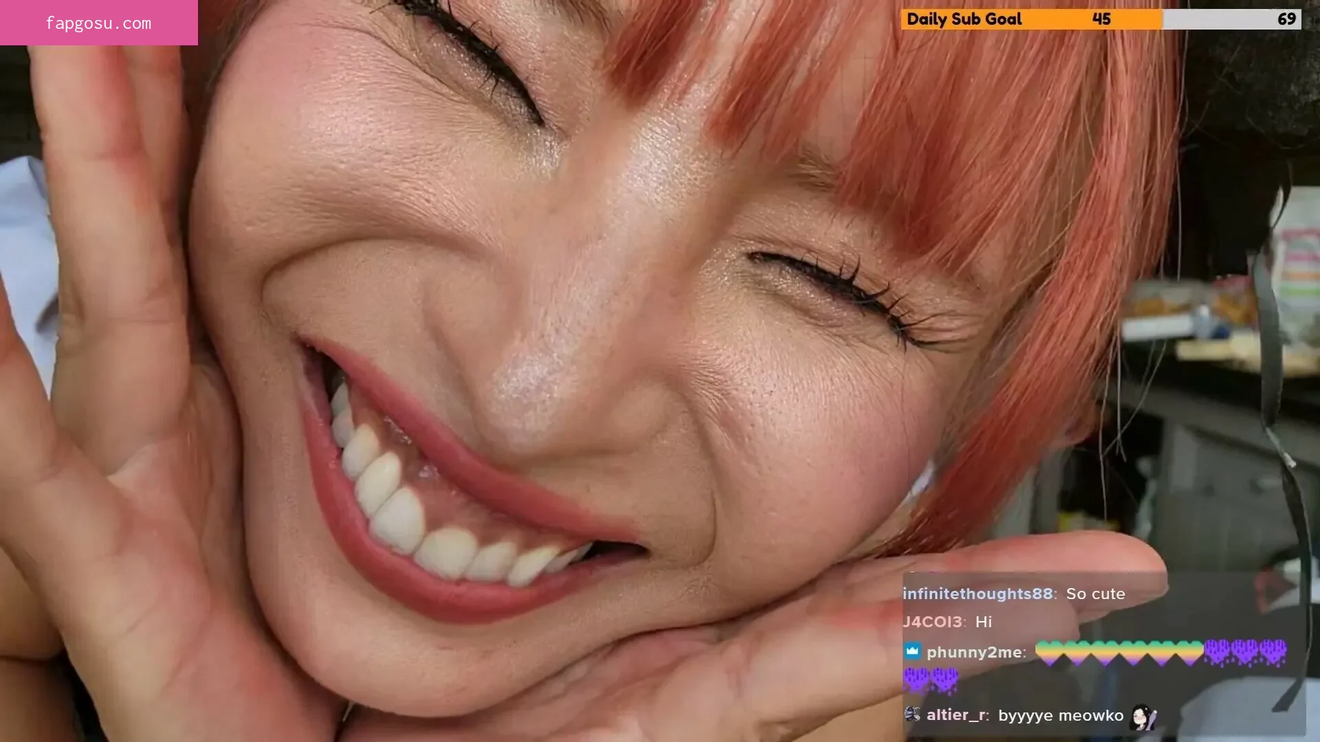 Meowko - Photo #3683