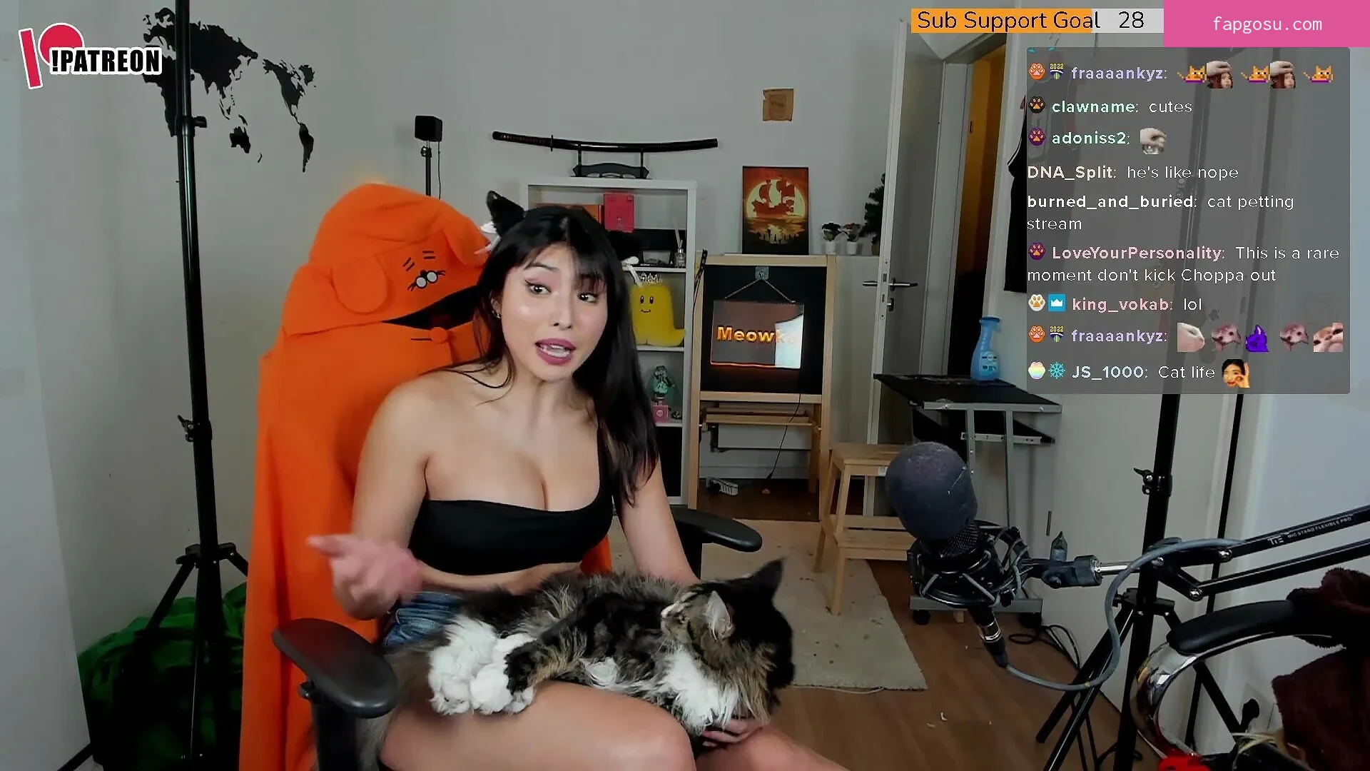 Meowko - Photo #683
