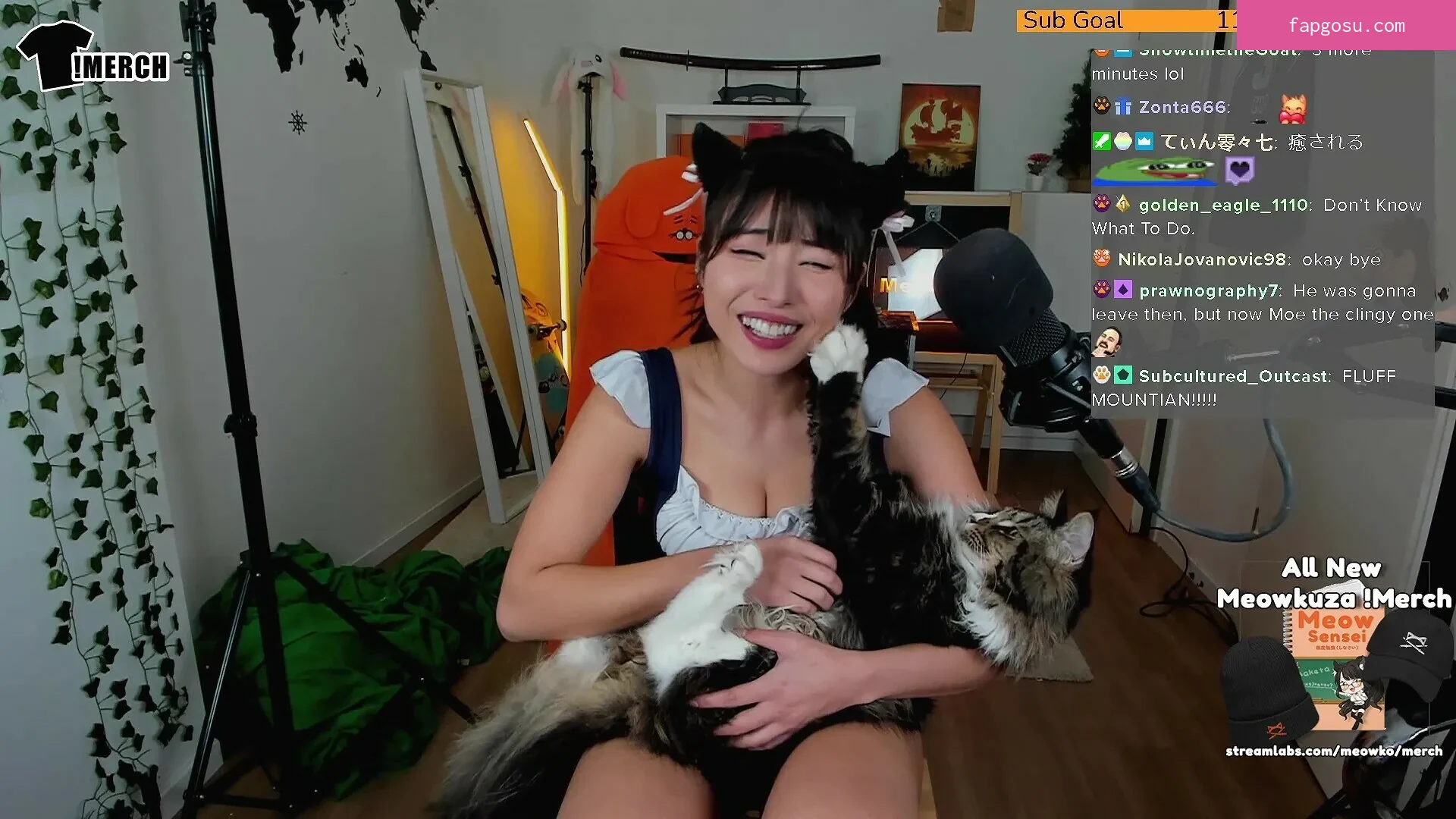 Meowko - Photo #754