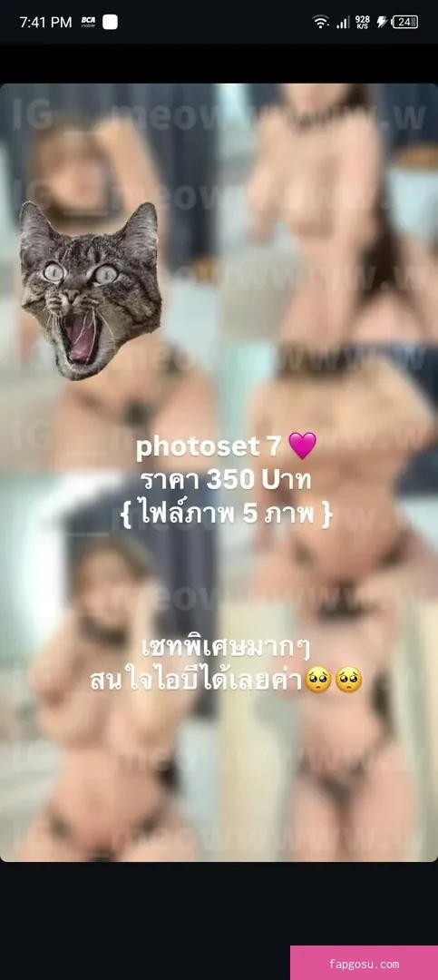 meowmint0