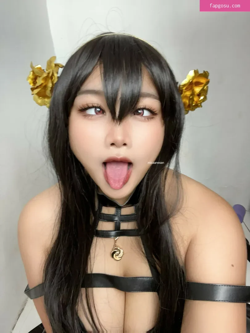 Micaanesan