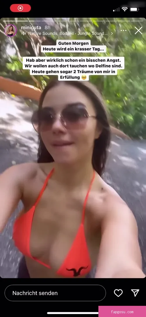 Minicuta