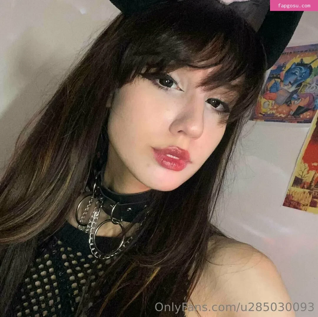 misakivirgin
