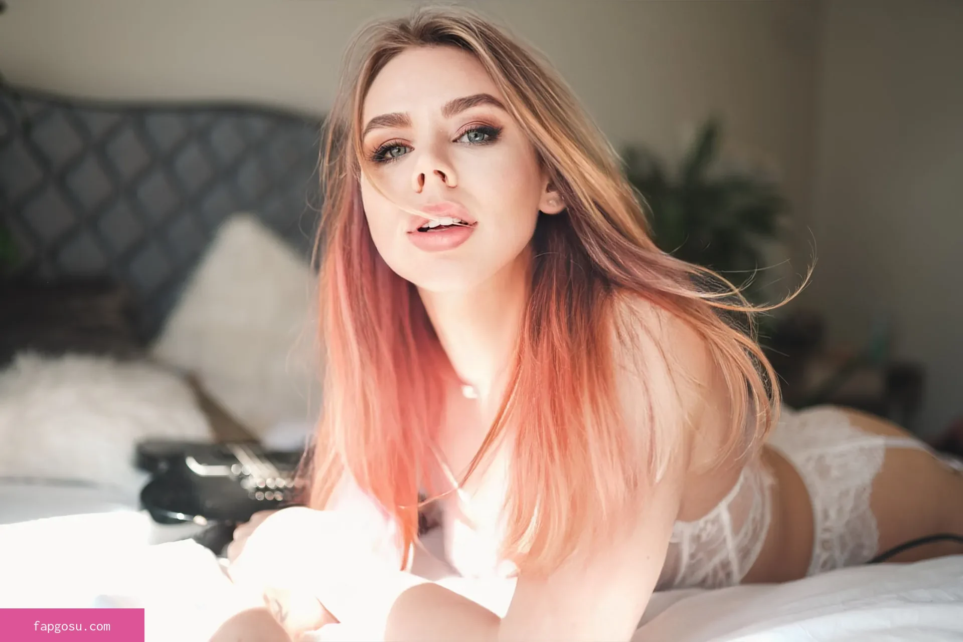 Misscoookiez
