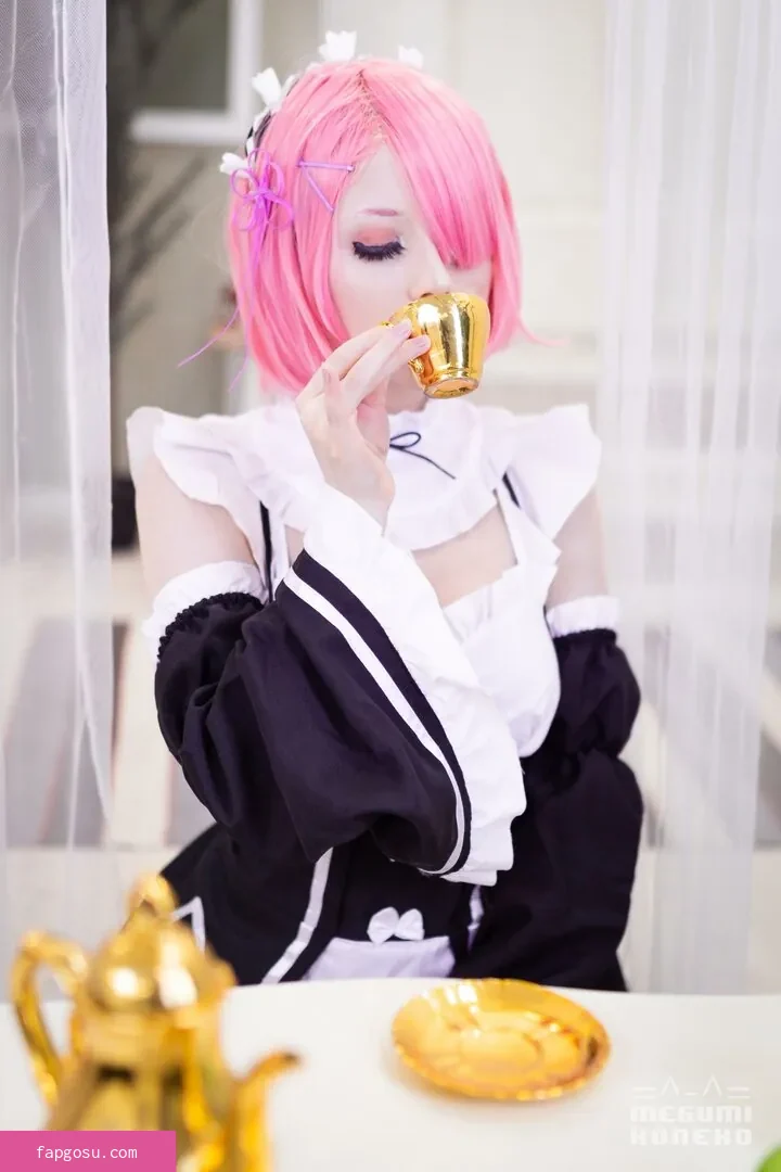 Megumi Koneko