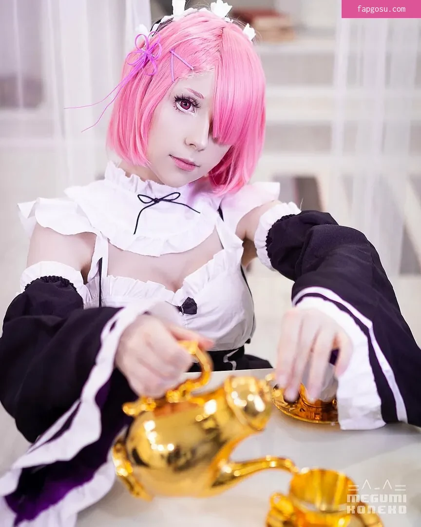 Megumi Koneko