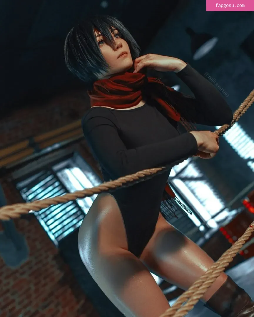 Mikasa Rino