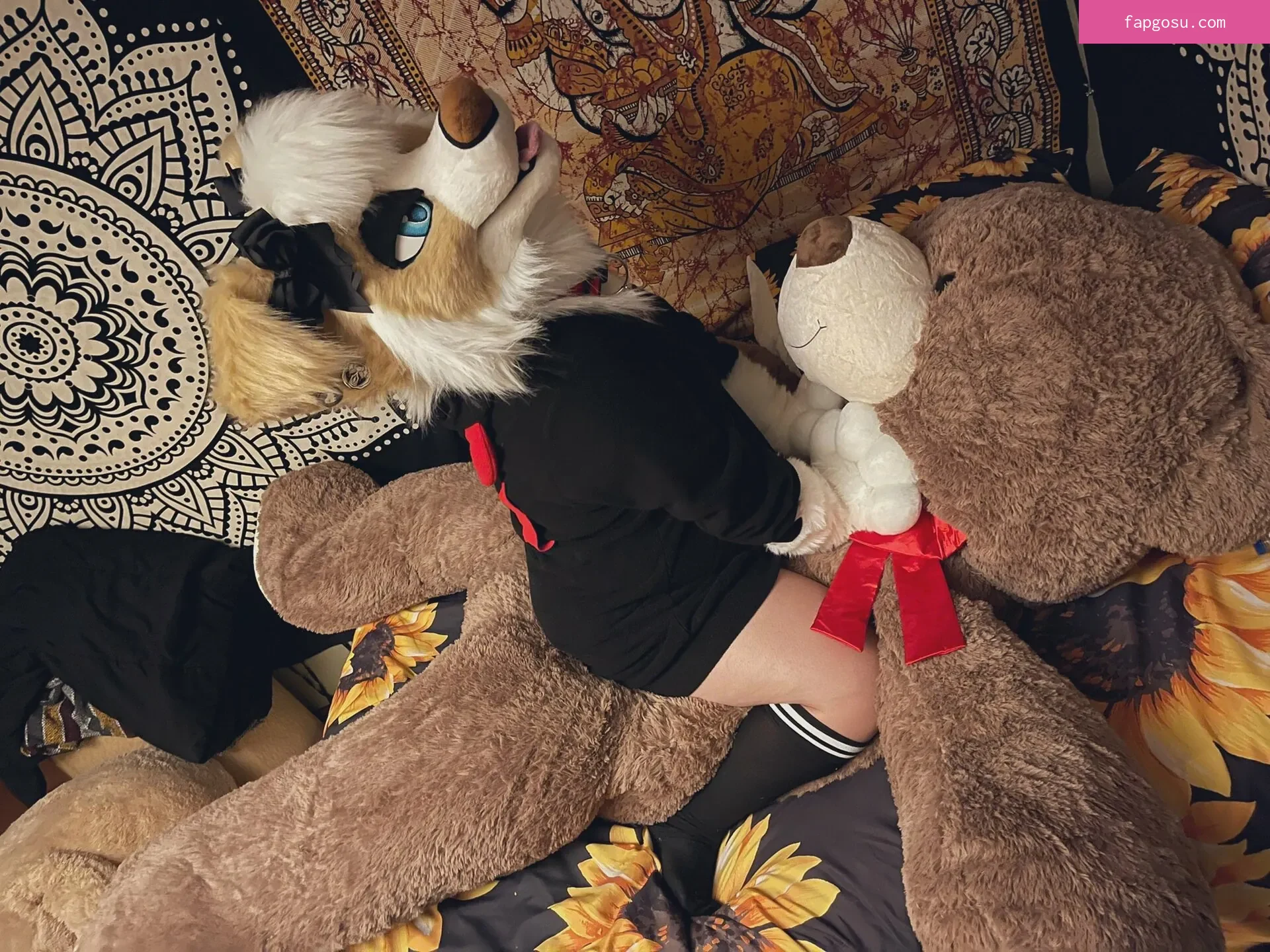 Murrsuit