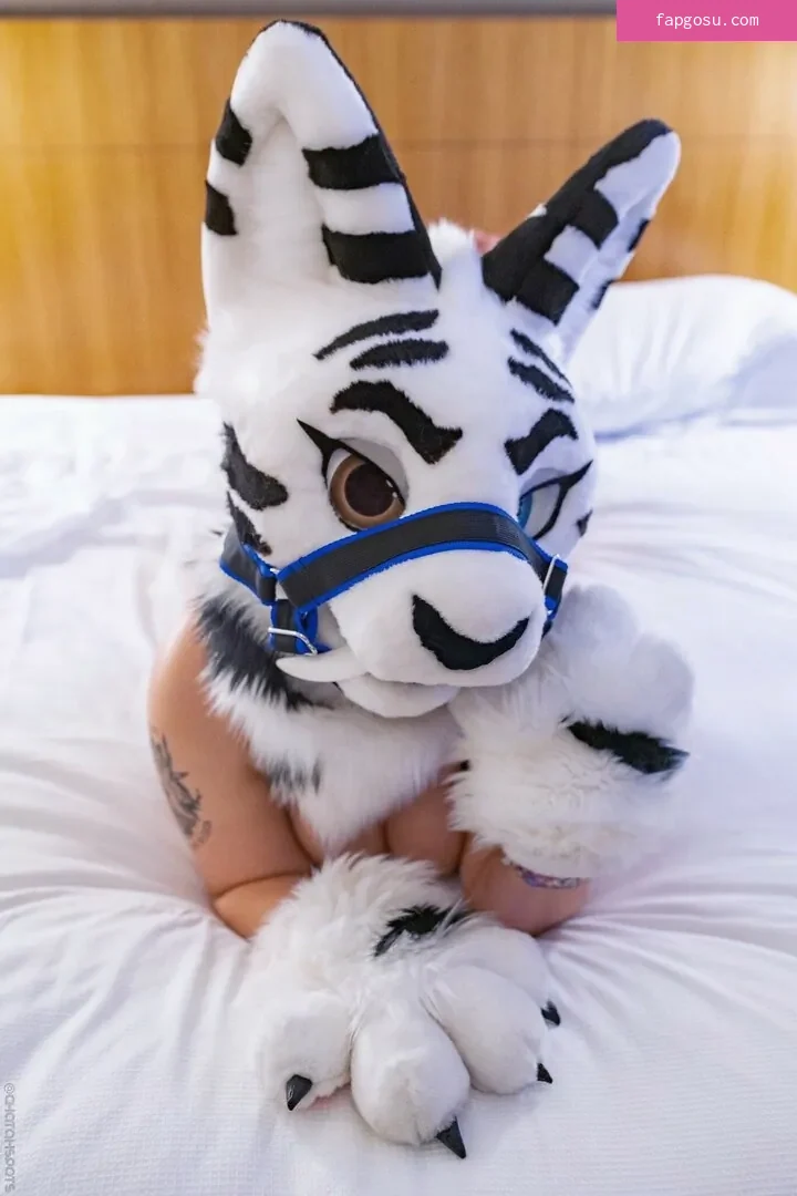 Murrsuit