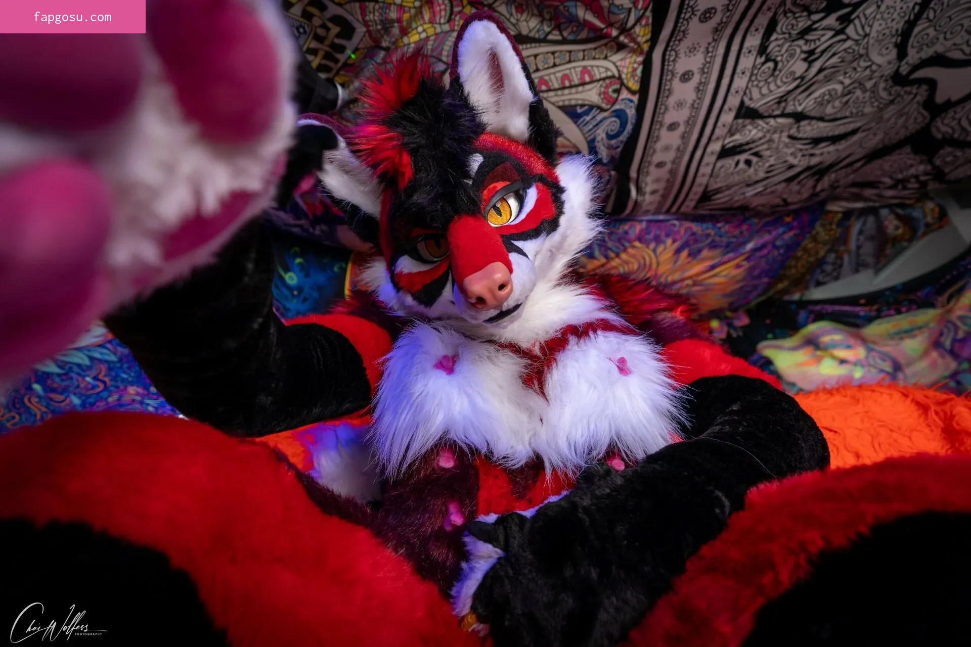 Murrsuit