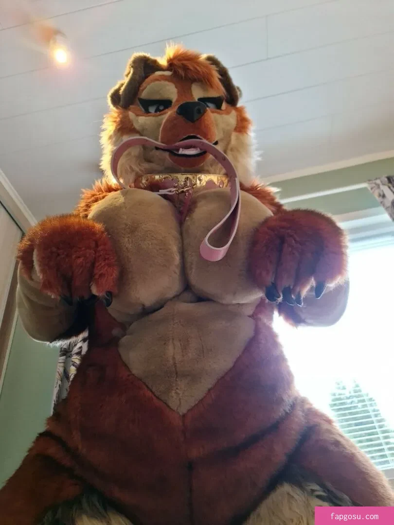 Murrsuit