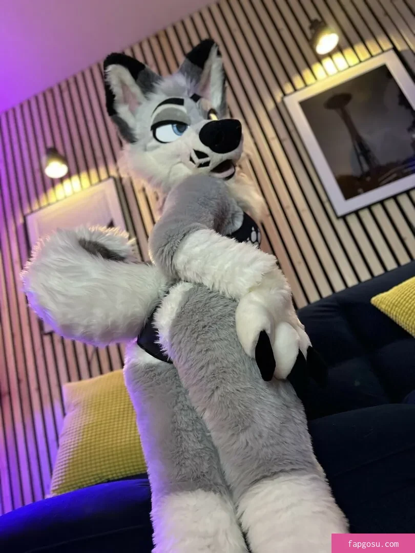 Murrsuit