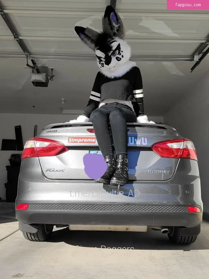 Murrsuit