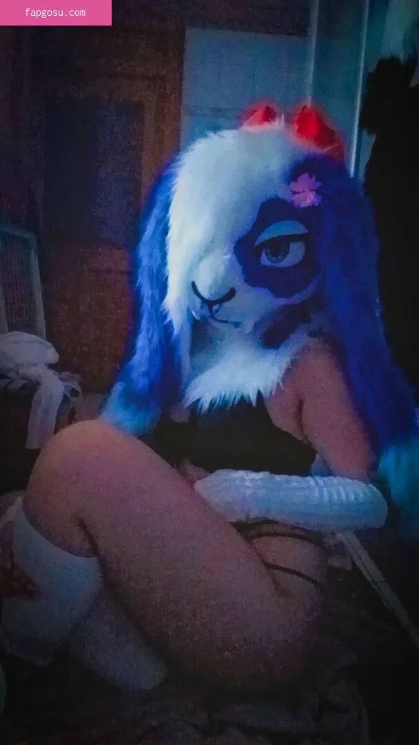 Murrsuit