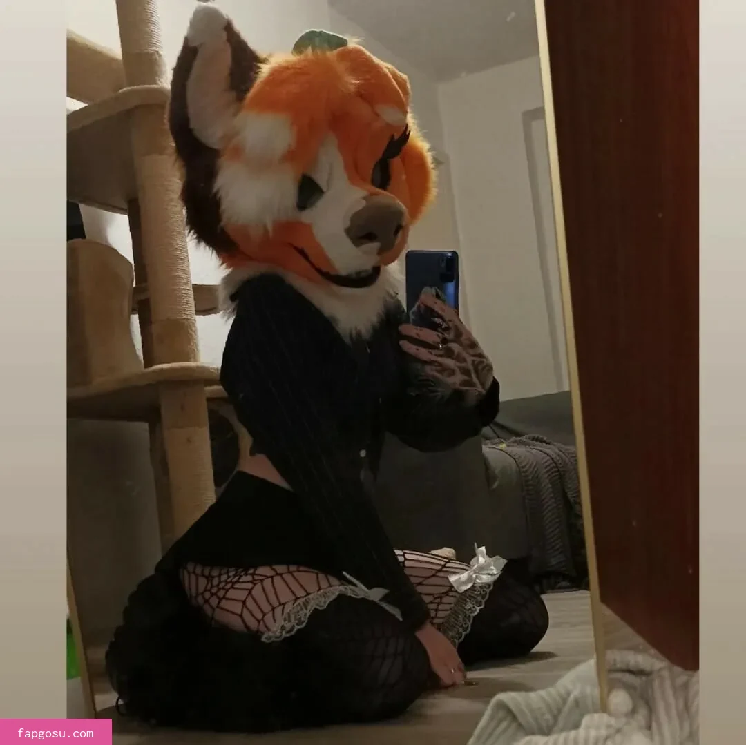 Murrsuit