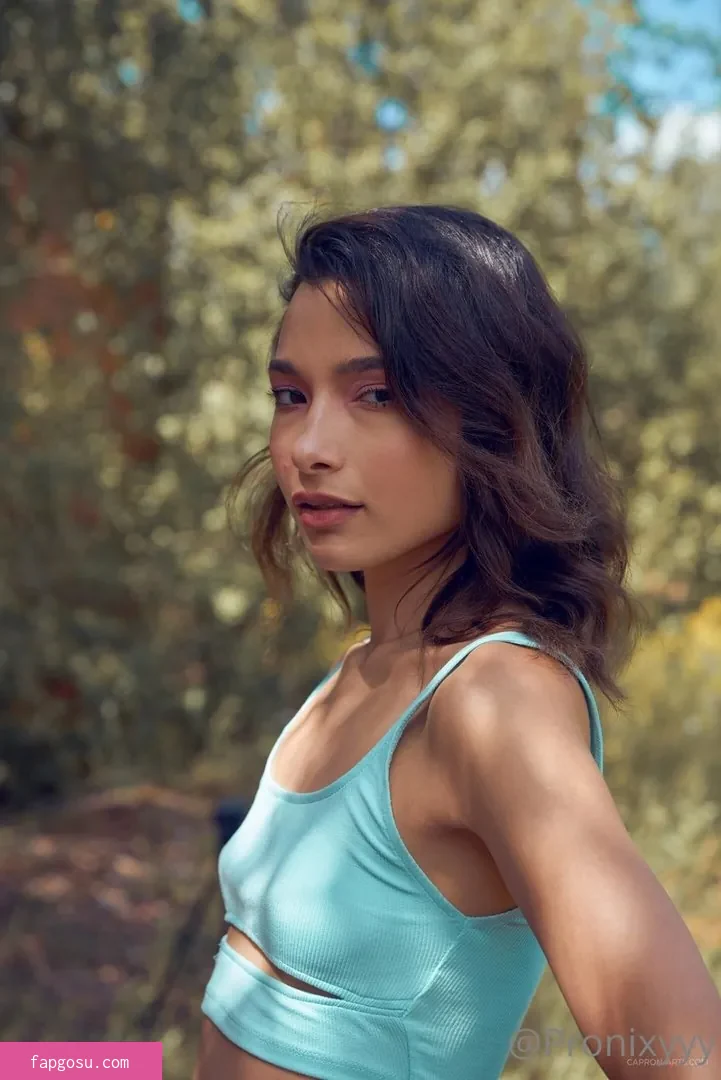 Nikol Beylik