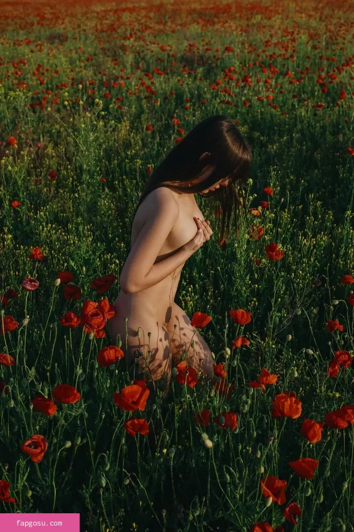 Nemmy Horin