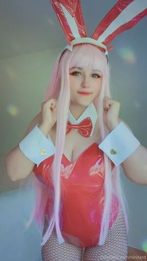 niniitard
