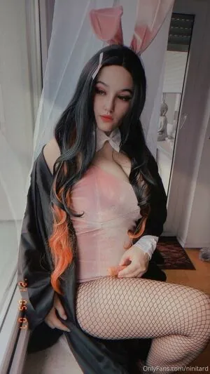 niniitard