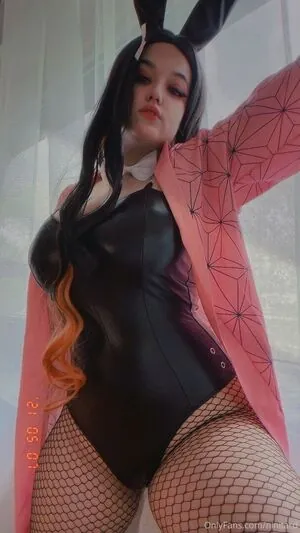 niniitard