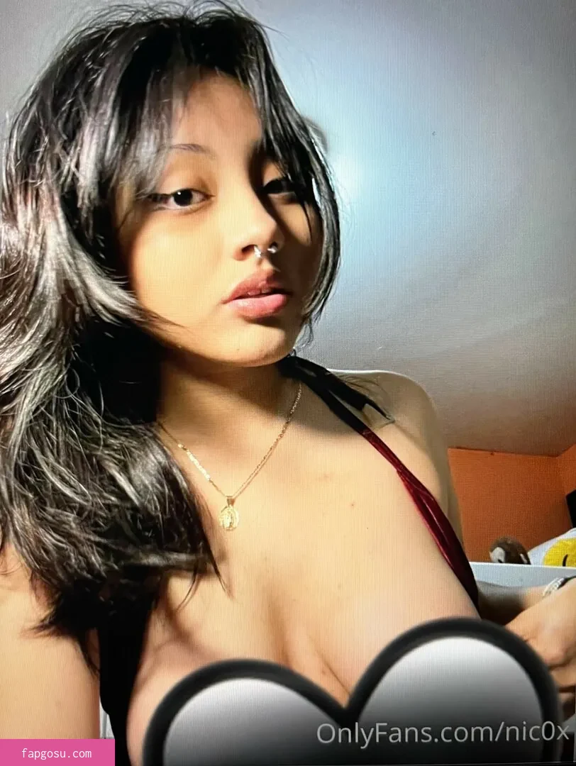 nomamesnico