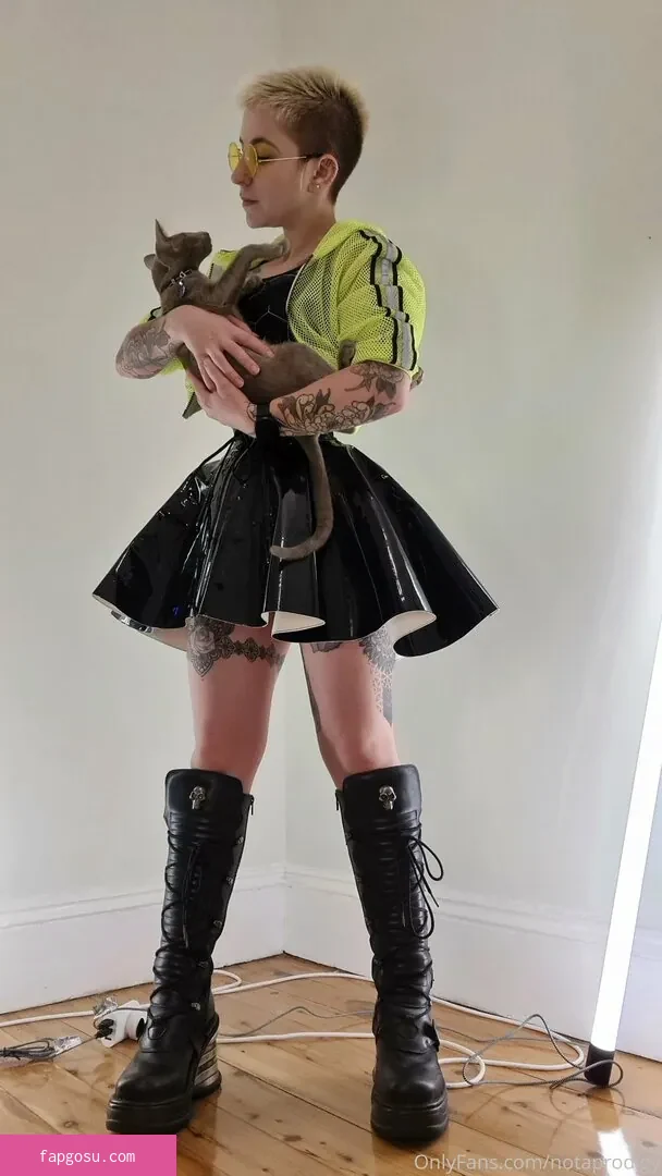 Notaprodigy