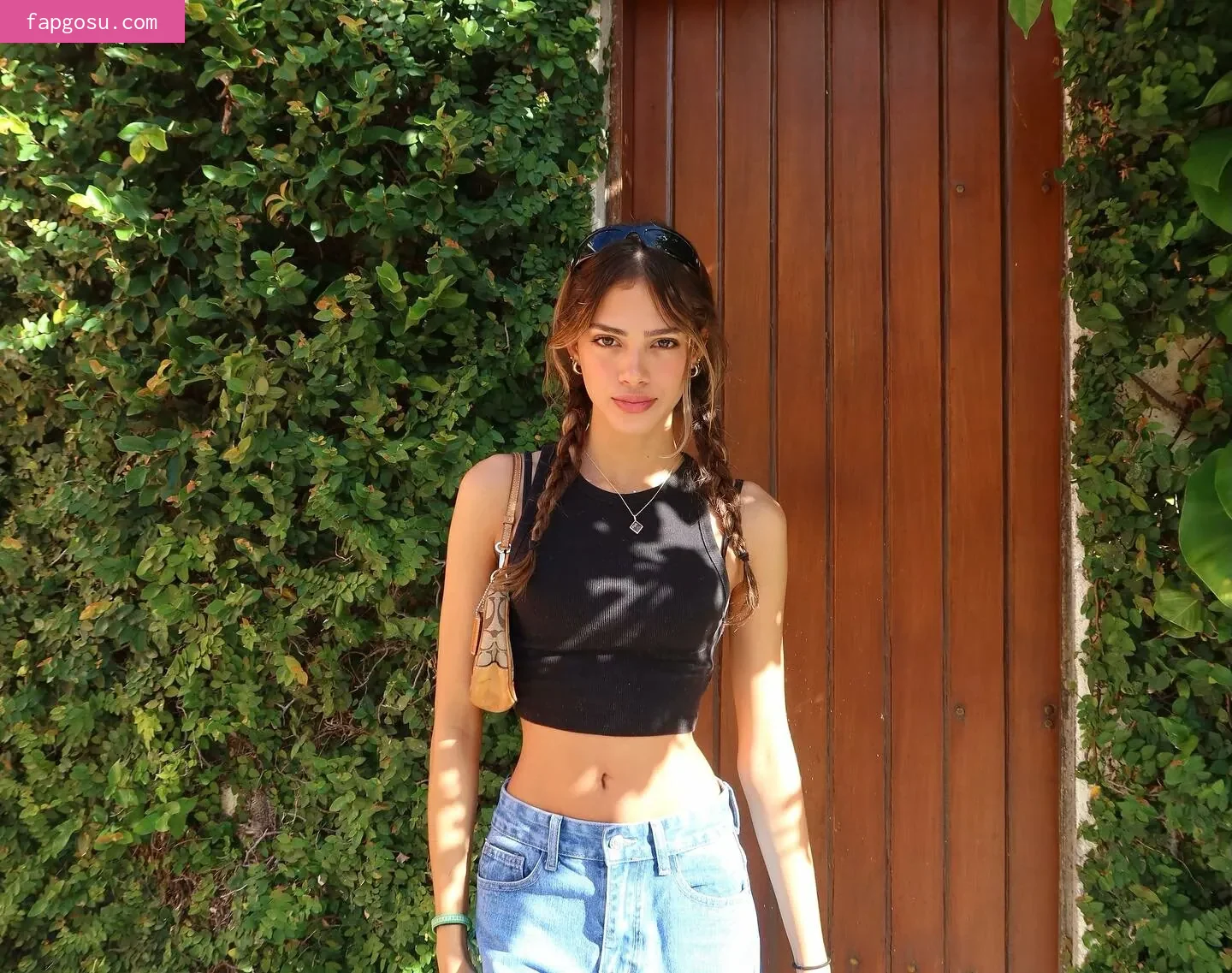 nottrebeca_