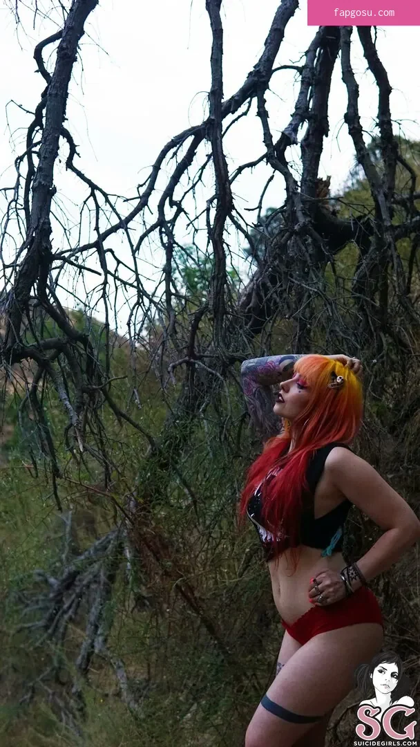 Nola_star