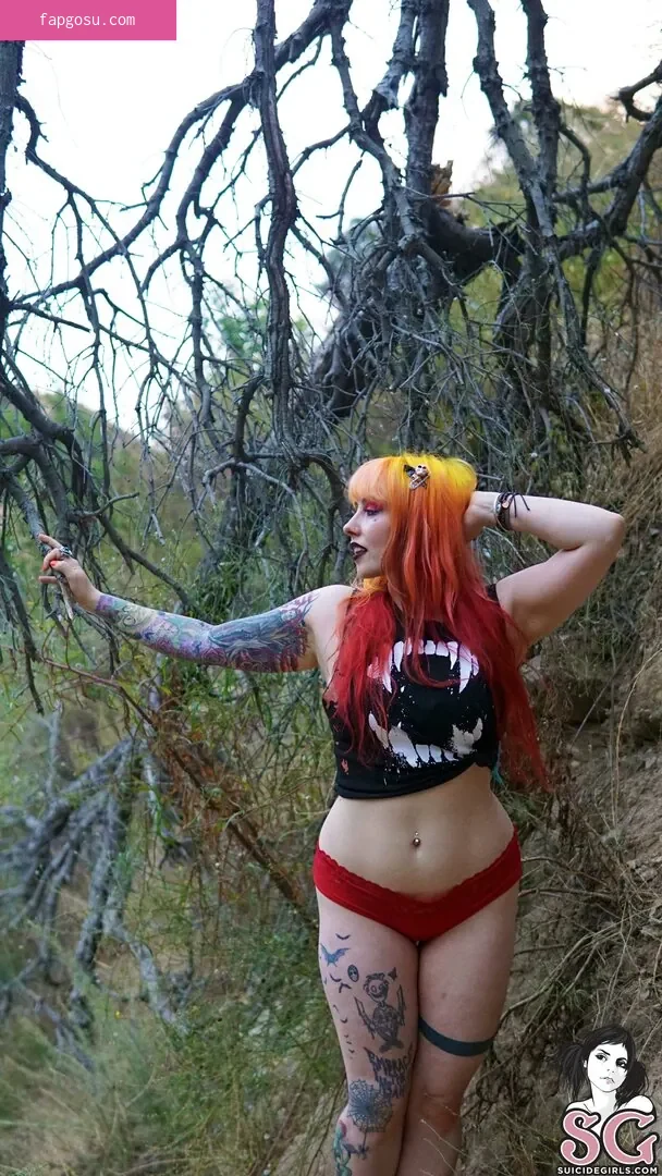 Nola_star