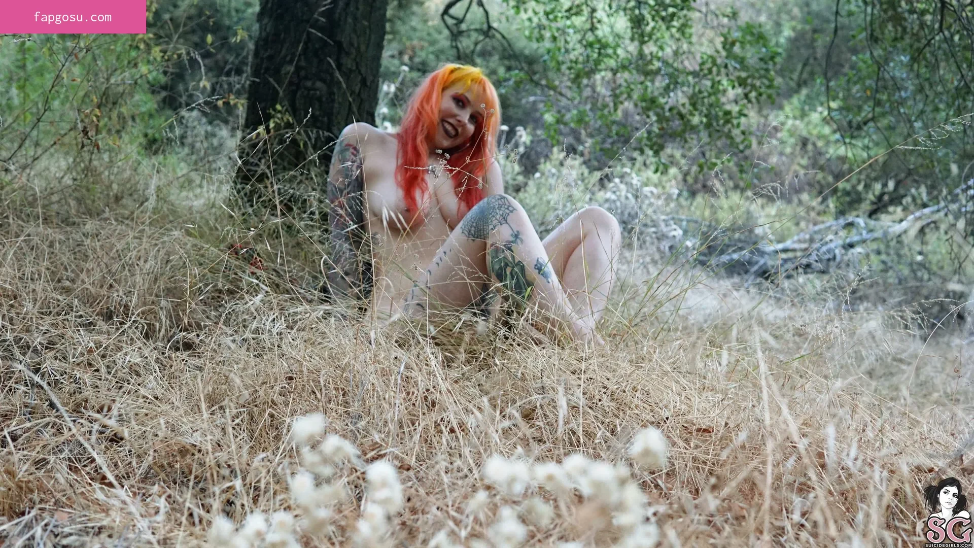 Nola_star