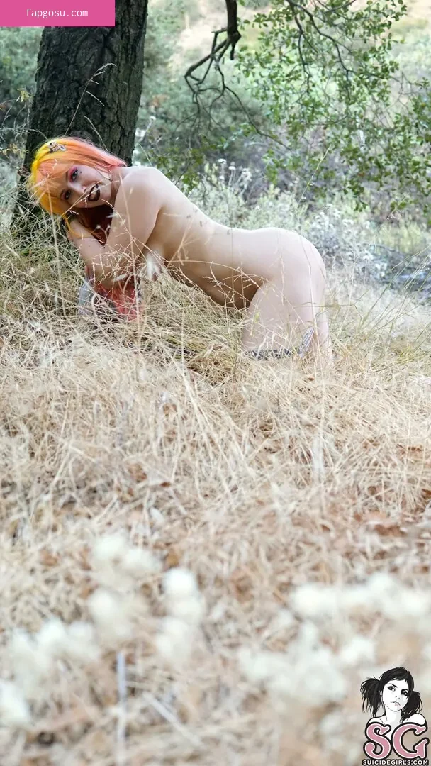 Nola_star