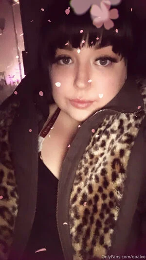 opalxo content