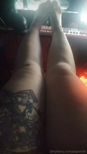 Pigxmilk content
