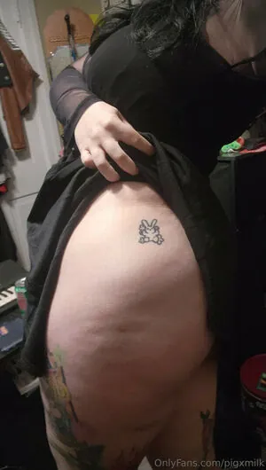 Pigxmilk content