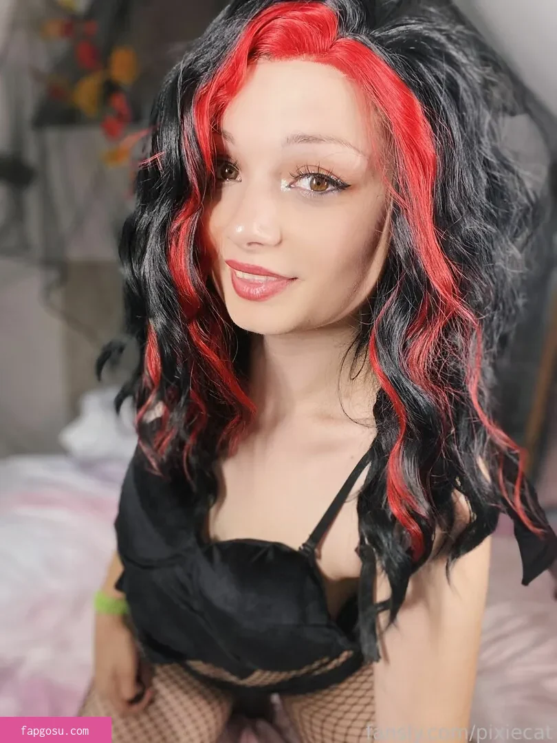 Pixiecat