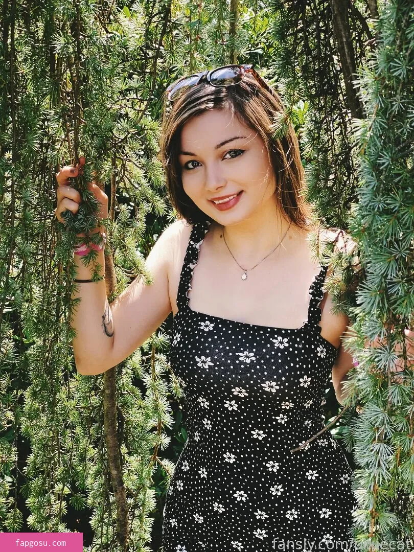 Pixiecat