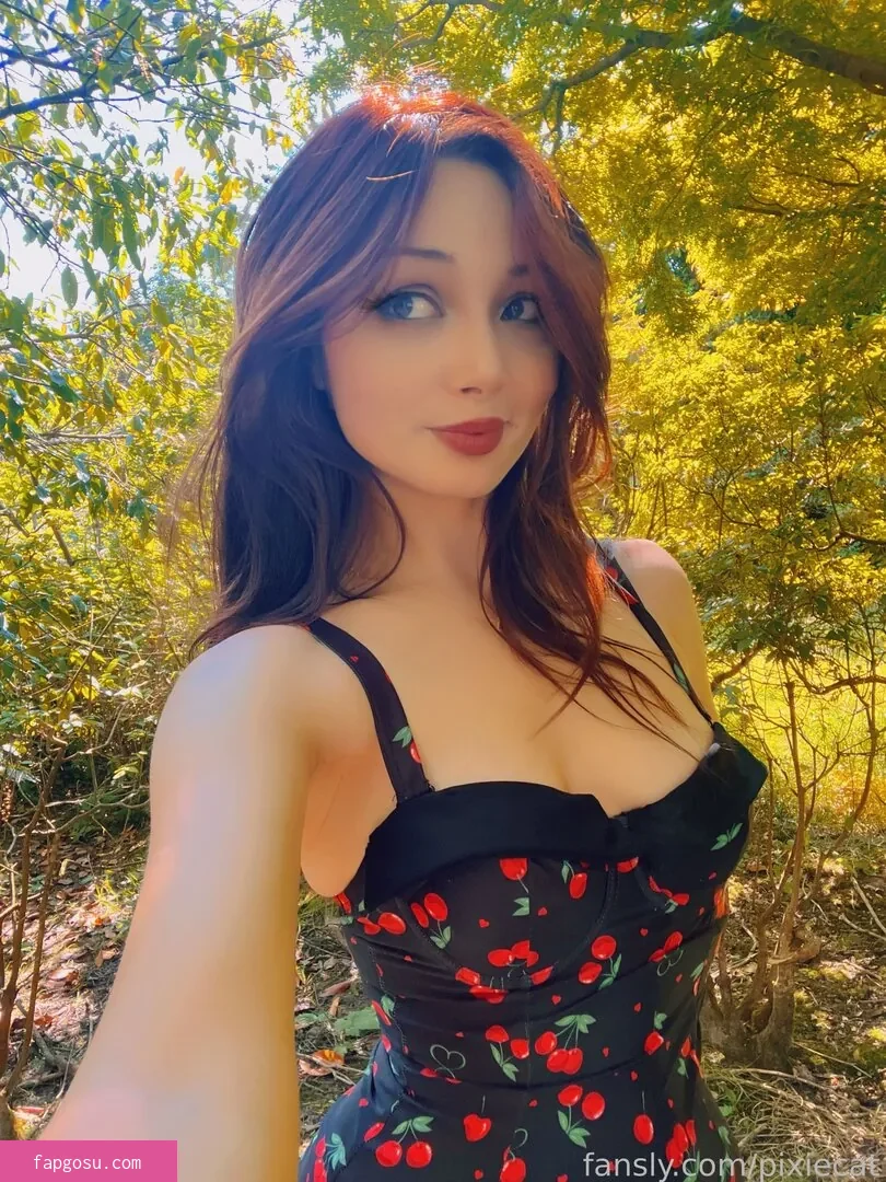 Pixiecat