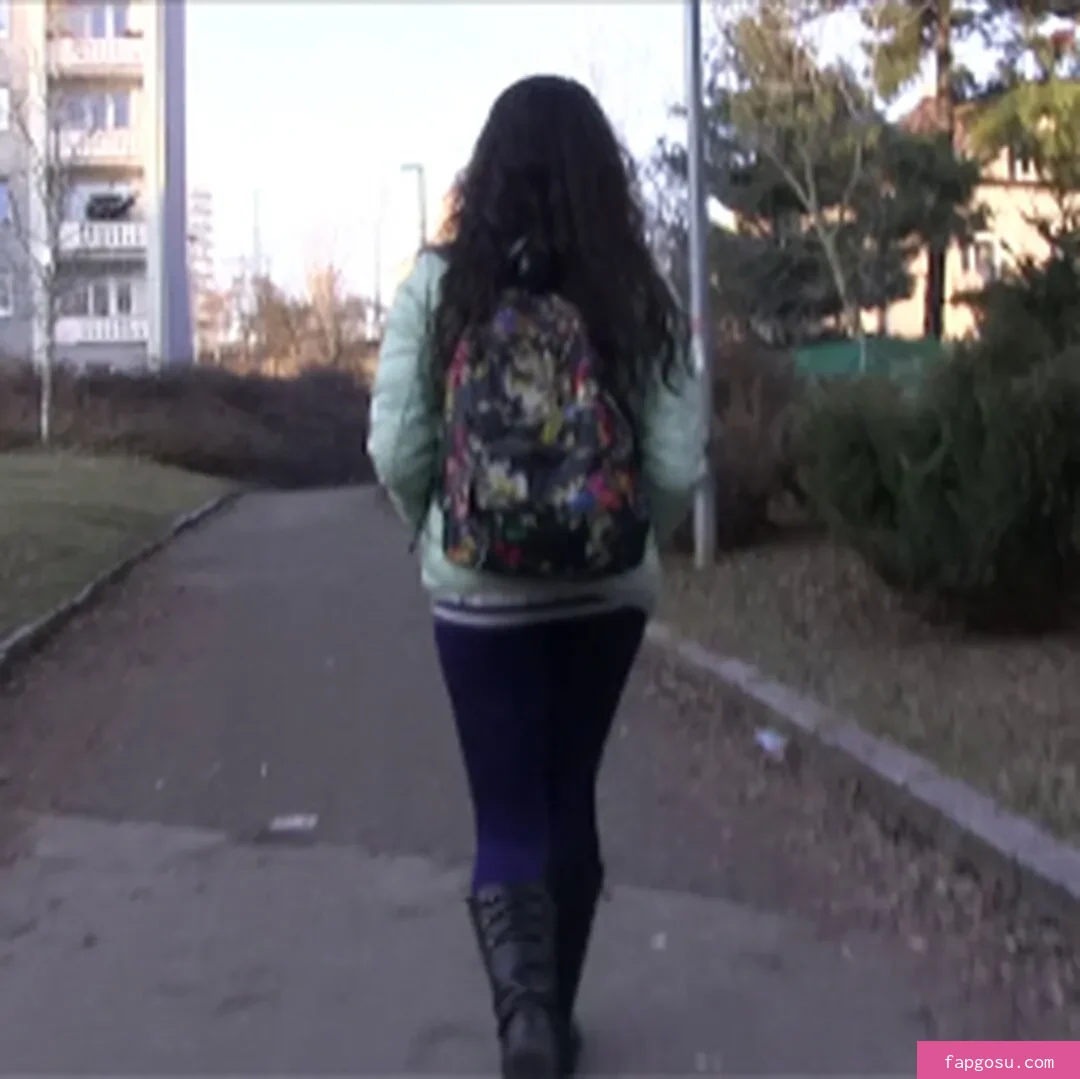 Public Agent