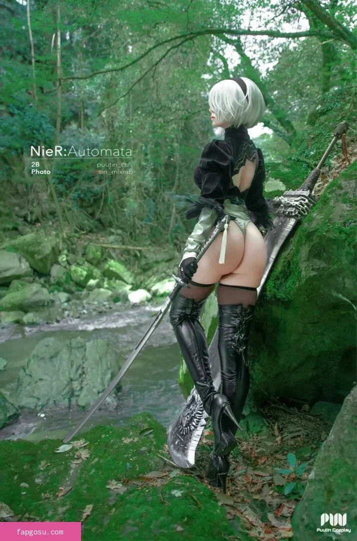 Puutin_cos