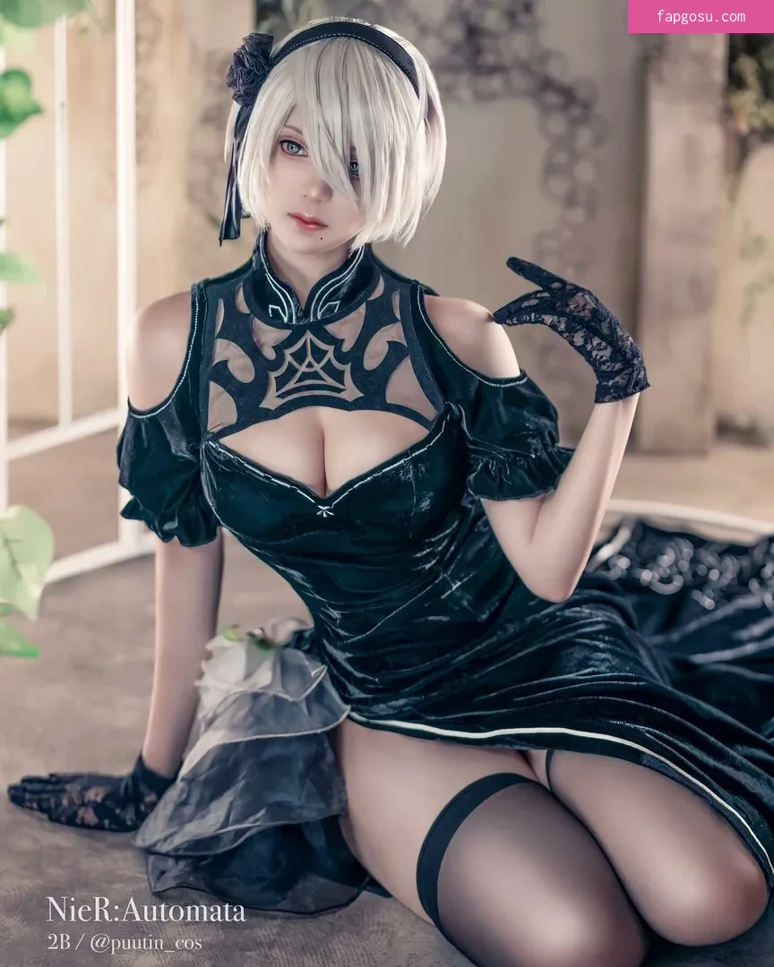 Puutin_cos