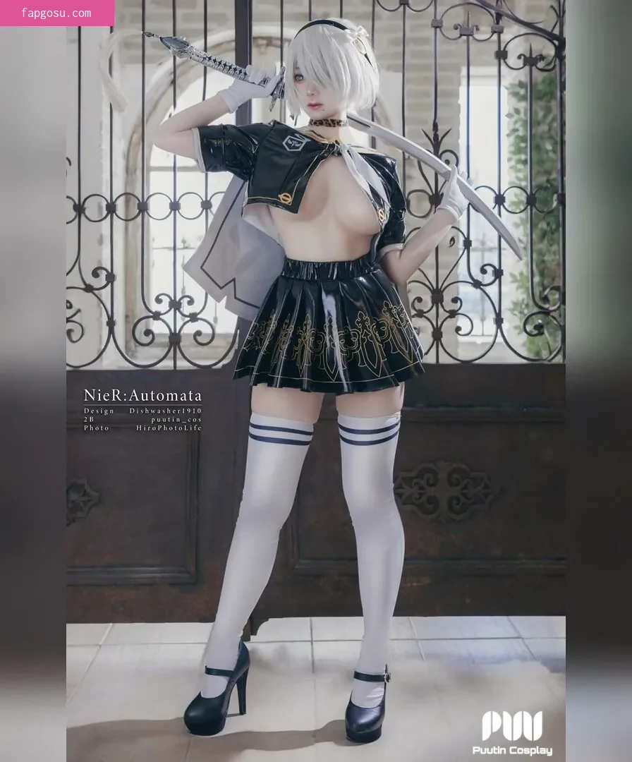 Puutin_cos