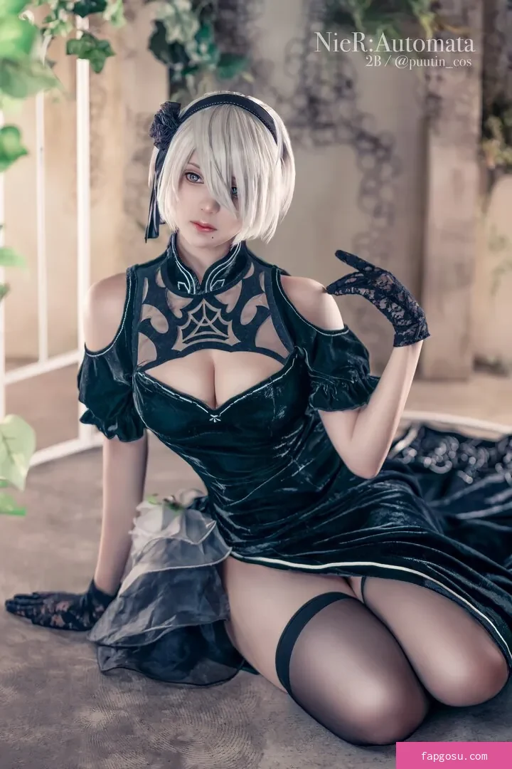 Puutin_cos
