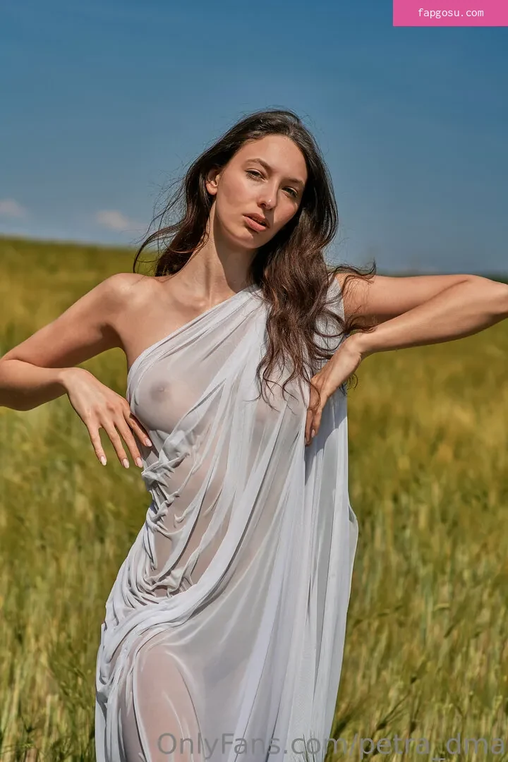 petra_dma
