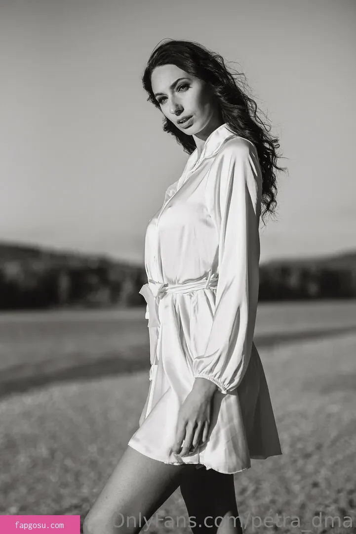 petra_dma