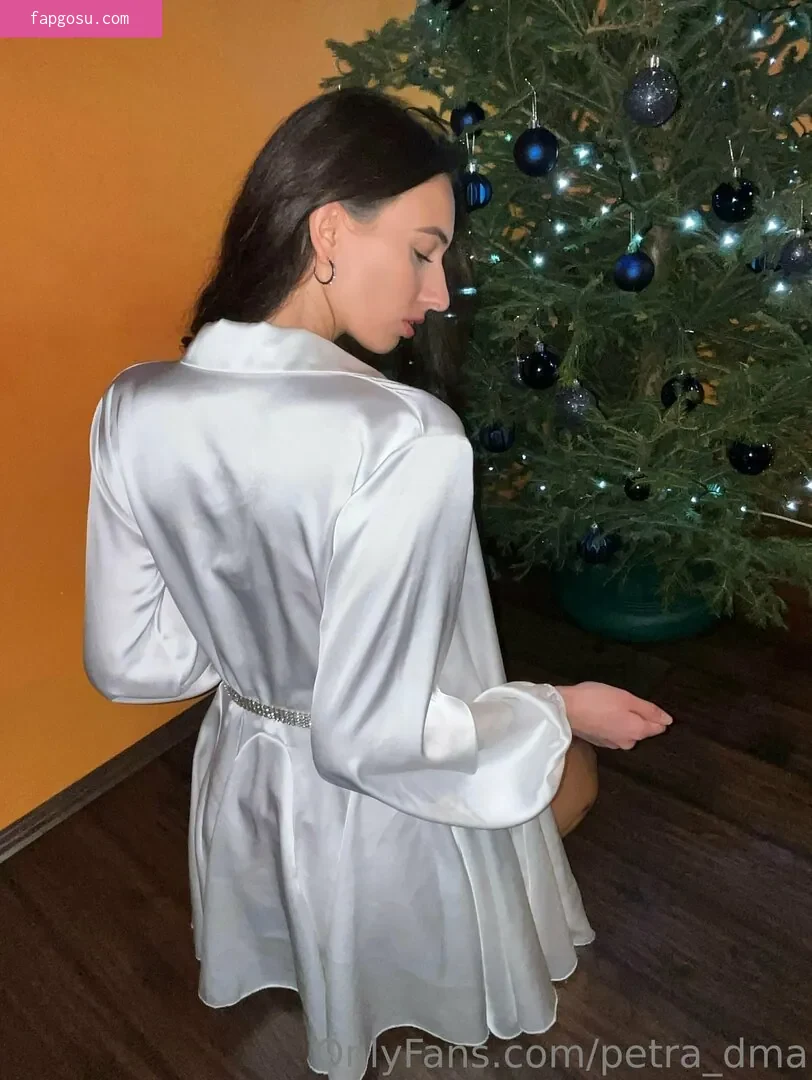 petra_dma