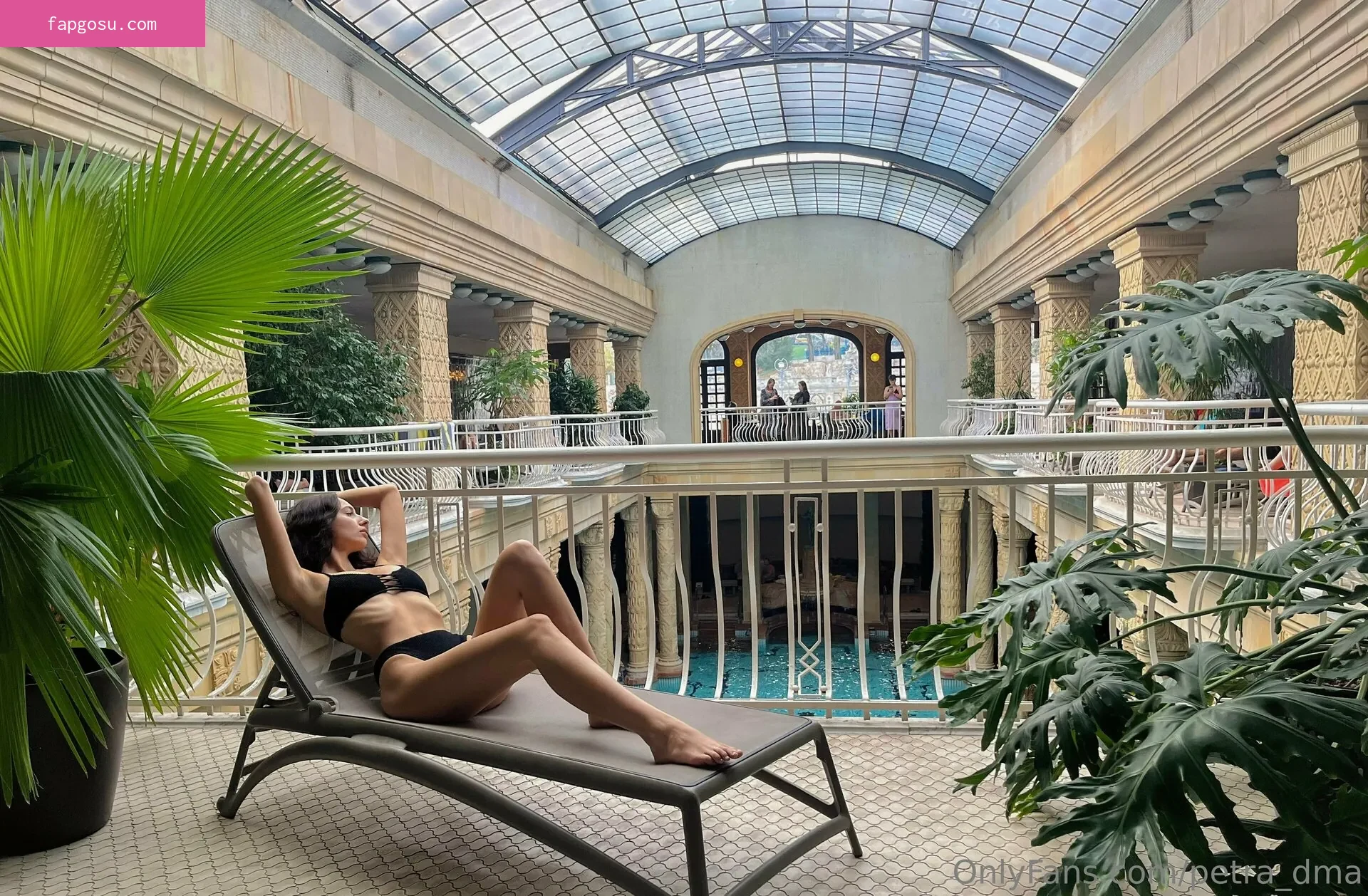 petra_dma