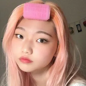 Porojin content