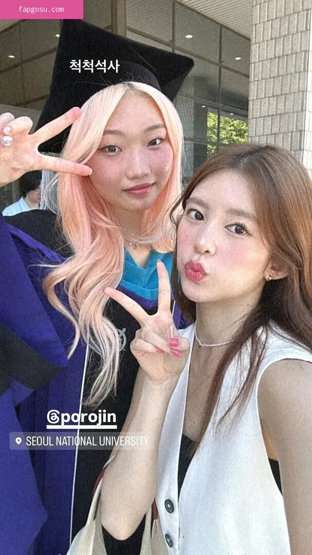 Porojin